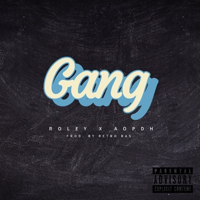 Roley AOPDH – Gang