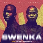 Still That Combo – Swenka feat. Worst Behaviour