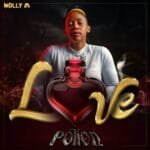 Nolly M – Love Potion Album