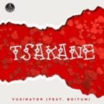 Vusinator – Tsakane feat. BoituM