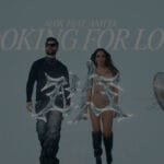 Alok & Anitta – Looking For Love