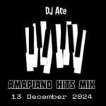 DJ Ace – Amapiano Hits Mix 13 December 2024