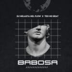 DJ Nelasta Nel Flow & Teo No Beat – Babosa