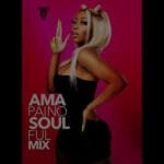 DJ Vynnie - Soulful Amapiano Mix Vol.13