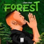 Citizen Sthee – Forest EP