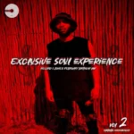 Record L Jones – Exclusive Soul Experience Vol 2 (Birthday Mix)